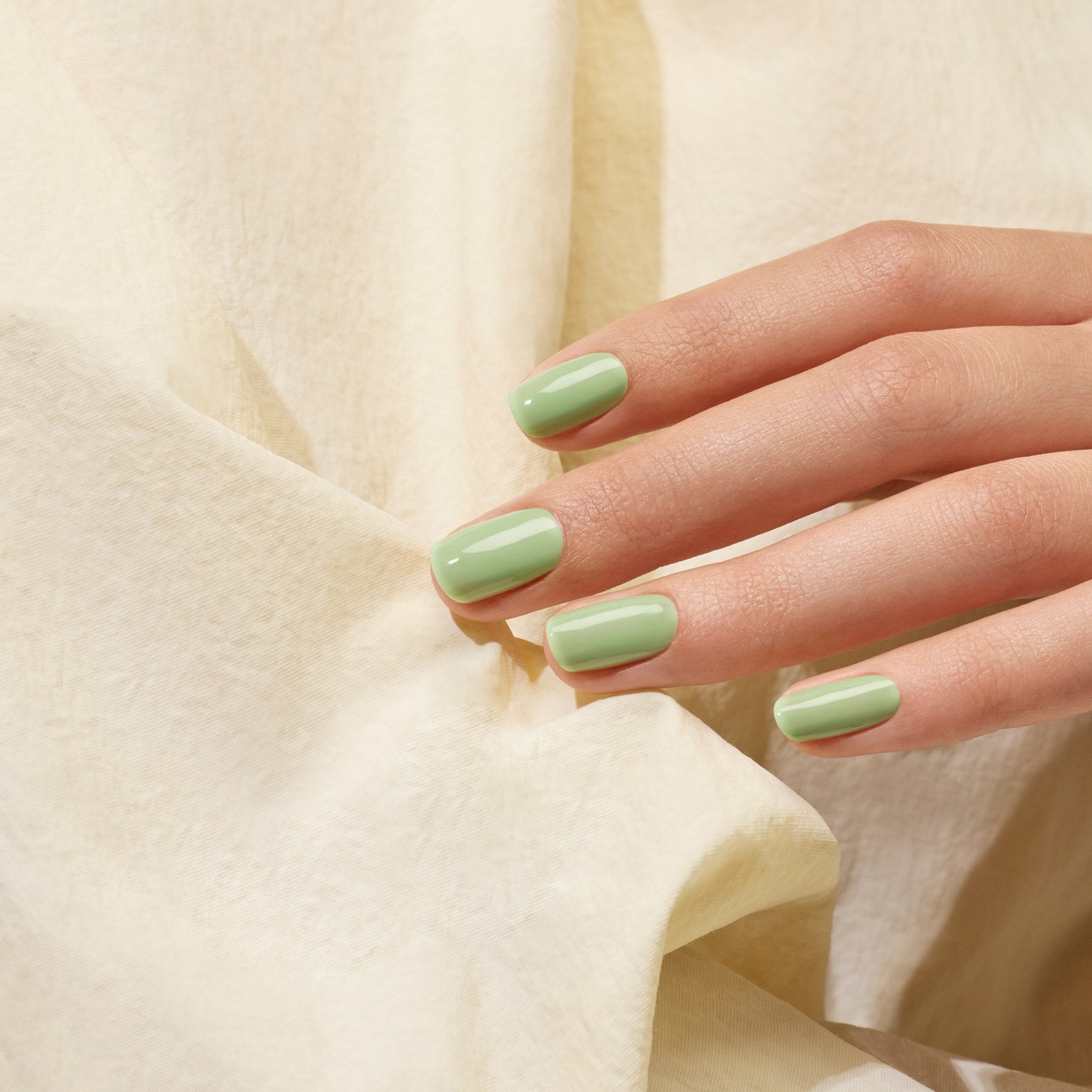 Milky Matcha
