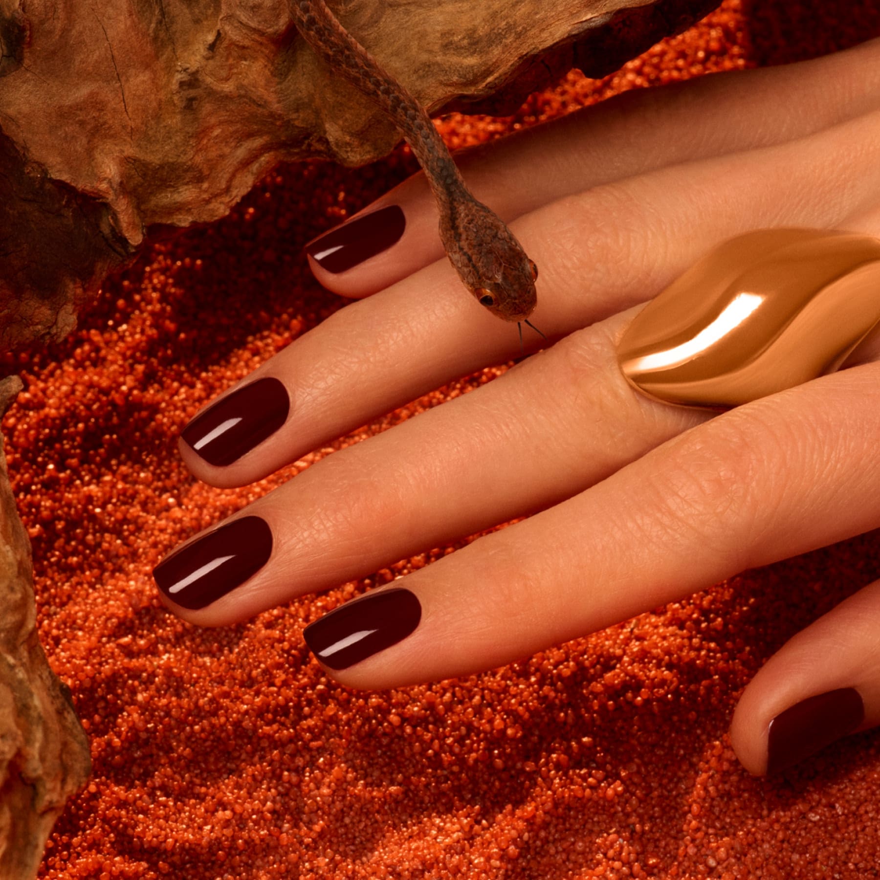 A hand with Grenat by Manucurist—earthy red polished nails—rests on reddish sand, adorned with a large, smooth, brown ring. A small brown snake hovers above the hand.