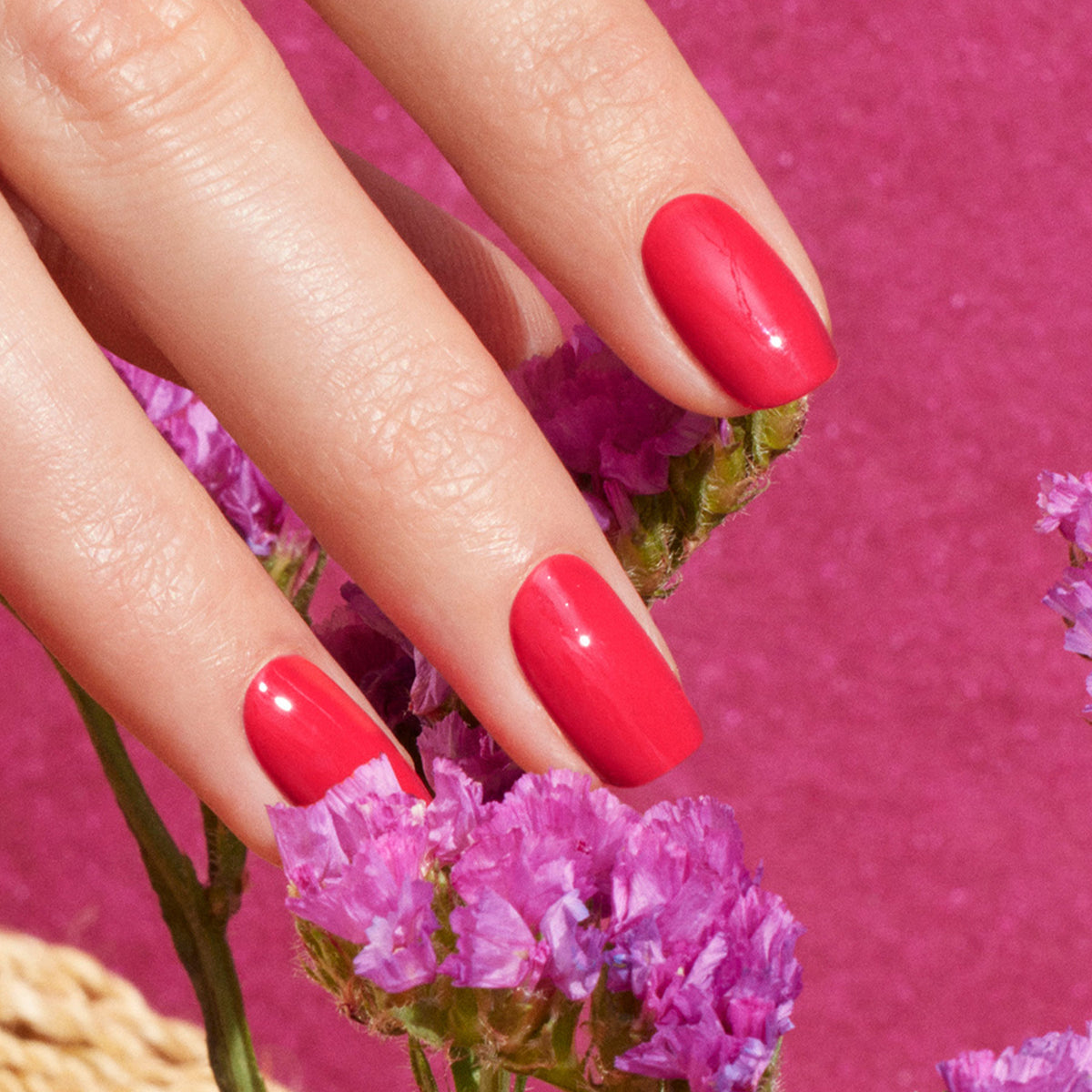 A hand with neatly manicured nails painted in Manucurist’s Retro Rainbow polish gently holds small purple flowers against a vibrant pink background.