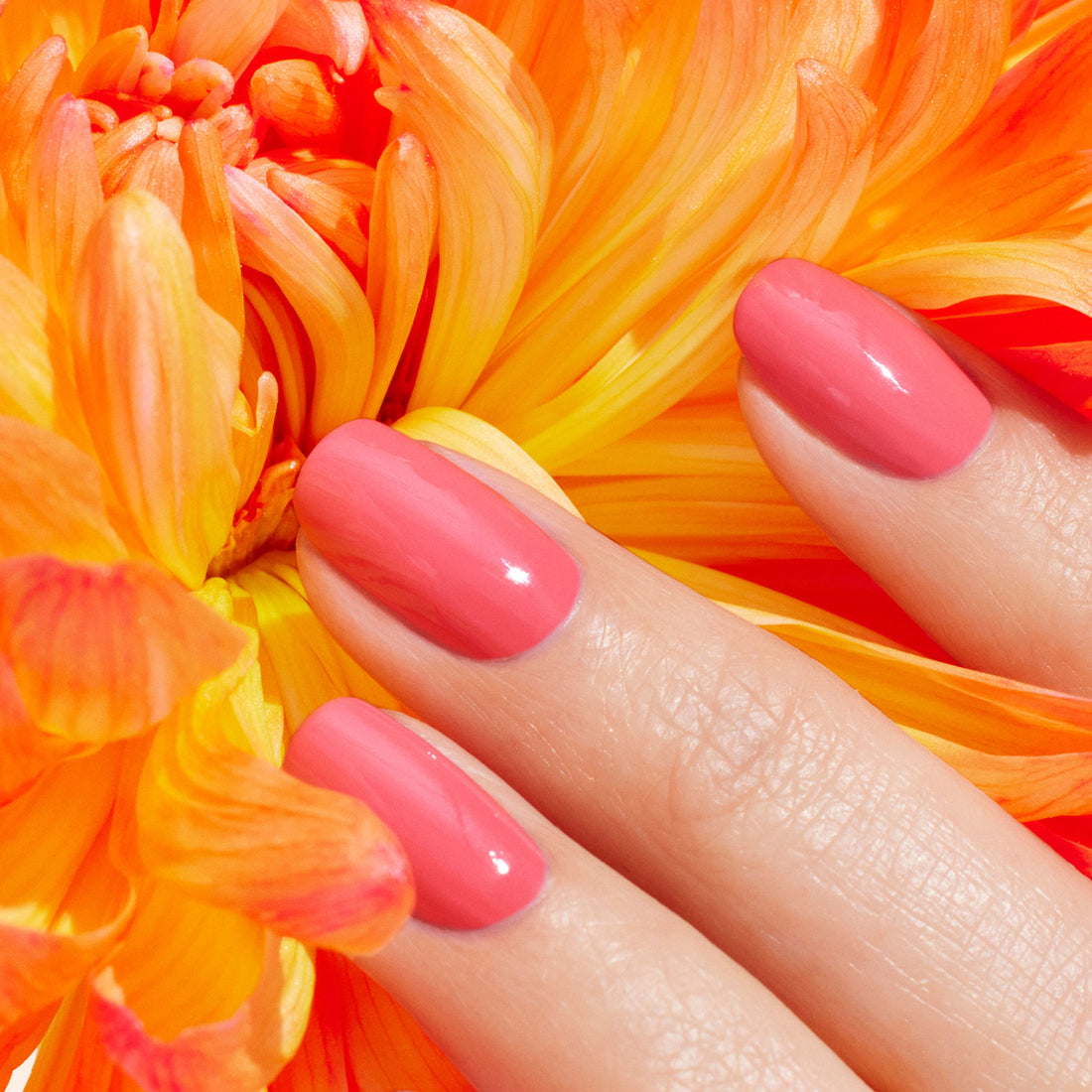 A hand with neatly manicured nails painted in Manucurist&