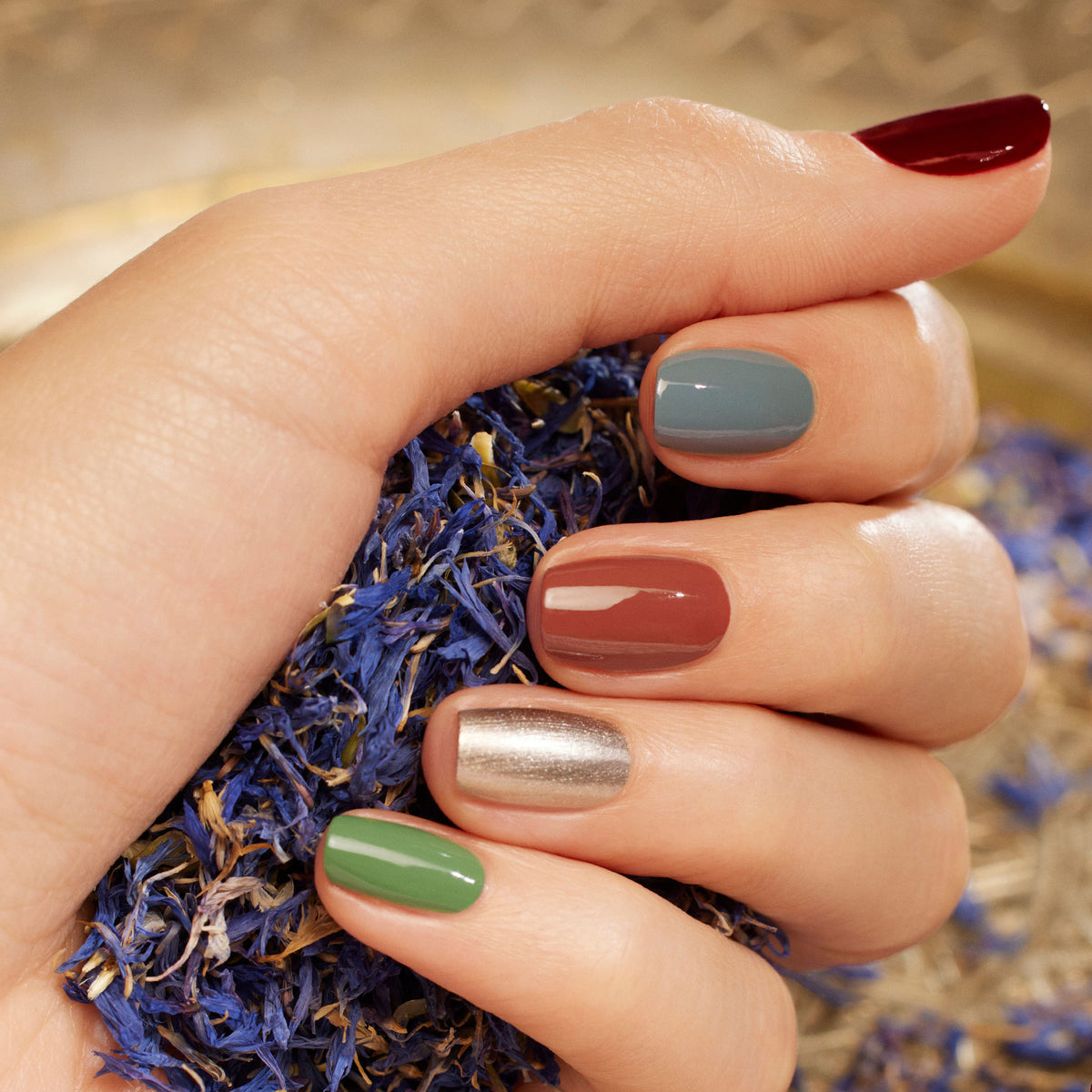A hand with neatly manicured nails painted in five vibrant shades—including Manucurist’s Brique—holds dried blue flower petals, capturing the colorful spirit of a Moroccan street market.