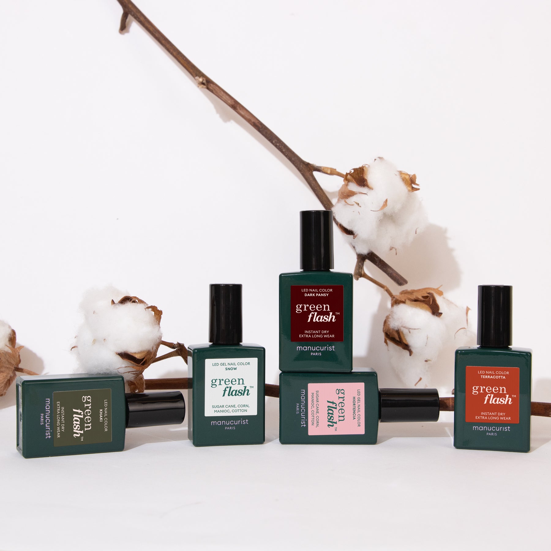Autumn leaves Collection