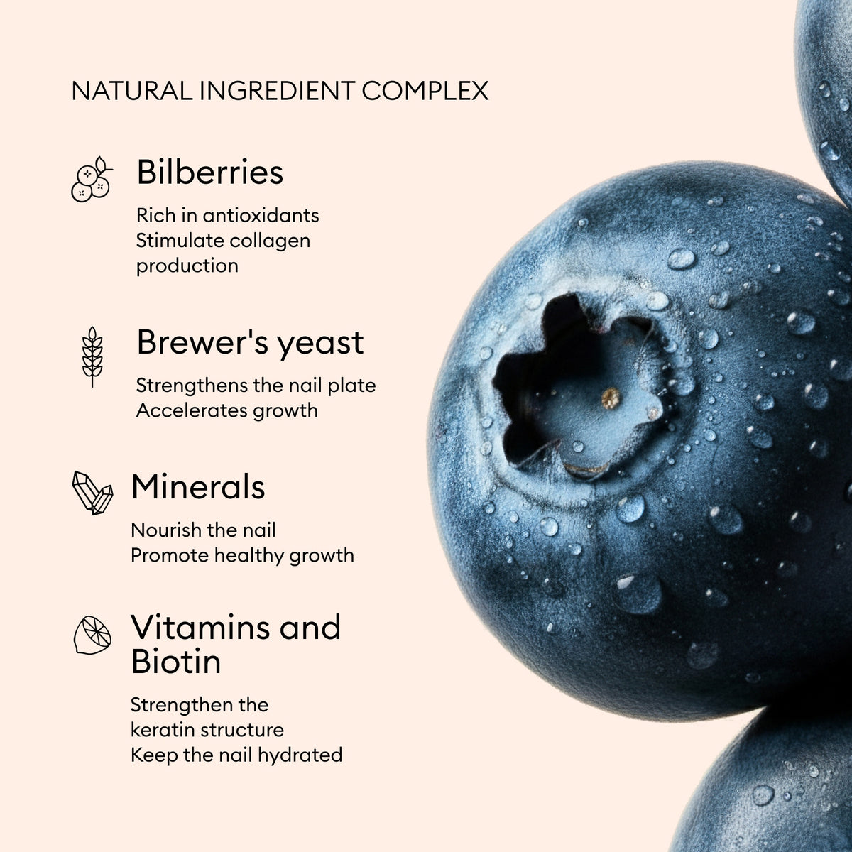 Close-up of fresh bilberries with water droplets beside the text: Manucurist Nail Boost blends bilberries, brewer’s yeast, minerals, vitamins, and biotin to strengthen nails and support hydration. Simple icons highlight each ingredient’s nail growth benefits.
