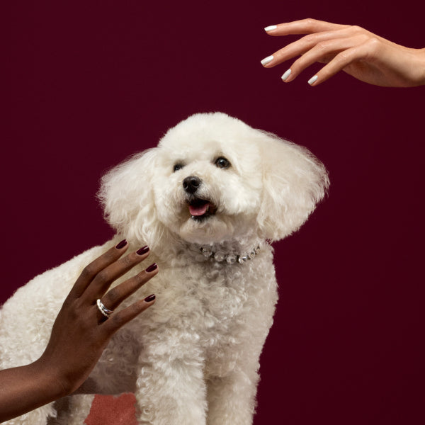 Christmas Nails 2025: Manicure and Nail Art Ideas for the Festive Season