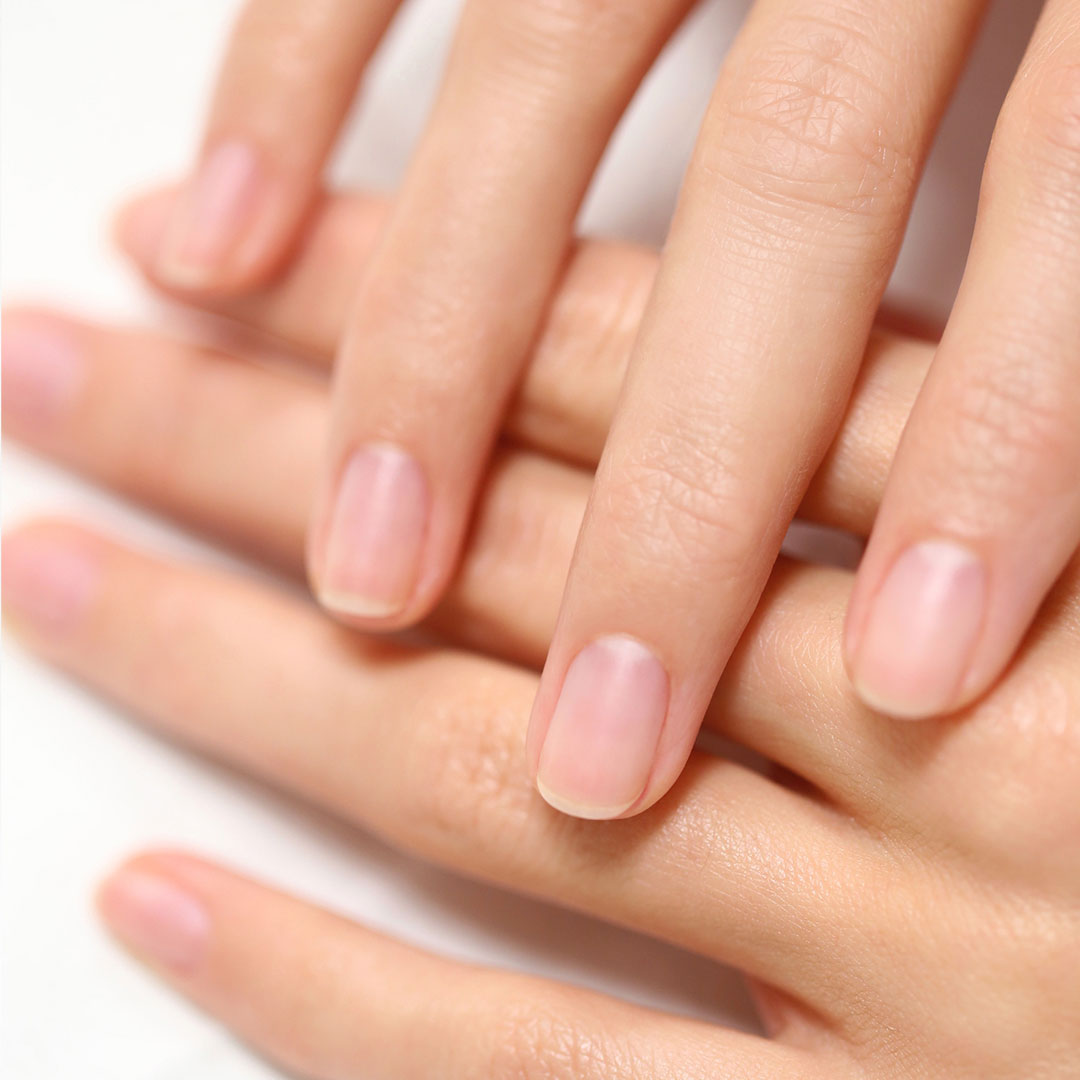 Nail Anatomy