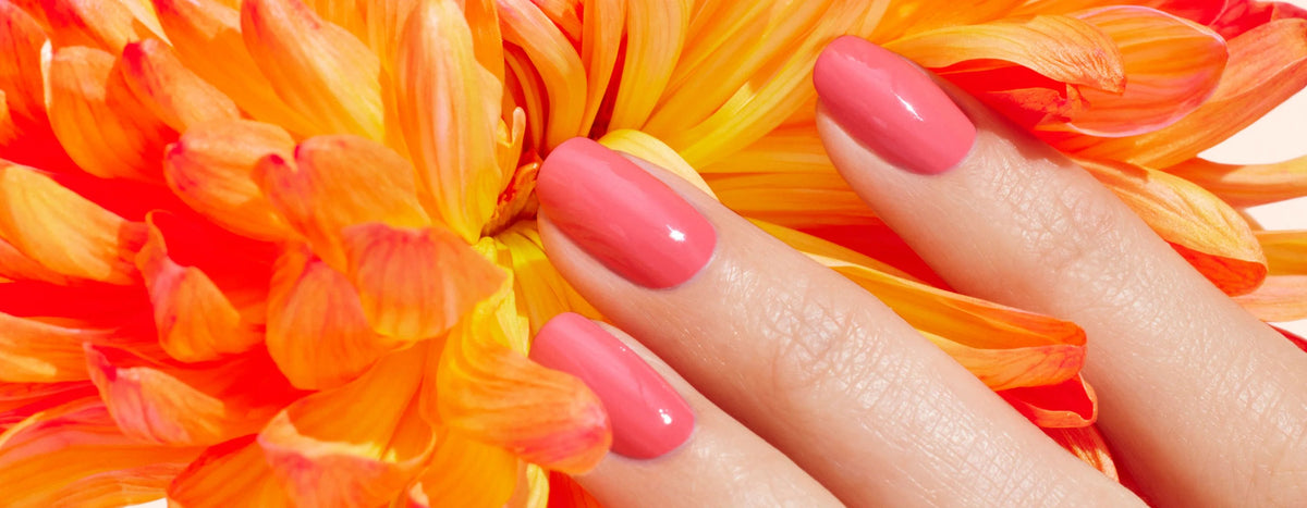 A hand with glossy, pink-painted nails gently rests on vibrant orange and yellow flower petals.