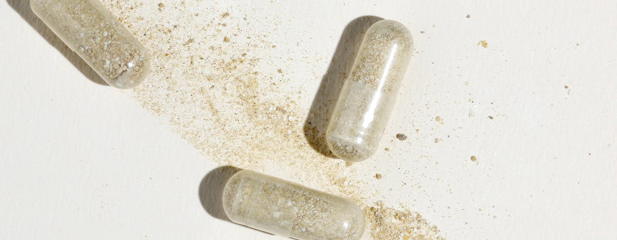 Three clear capsules filled with a beige, powdery substance rest on a white surface, with some of the powder spilled around and between the capsules.