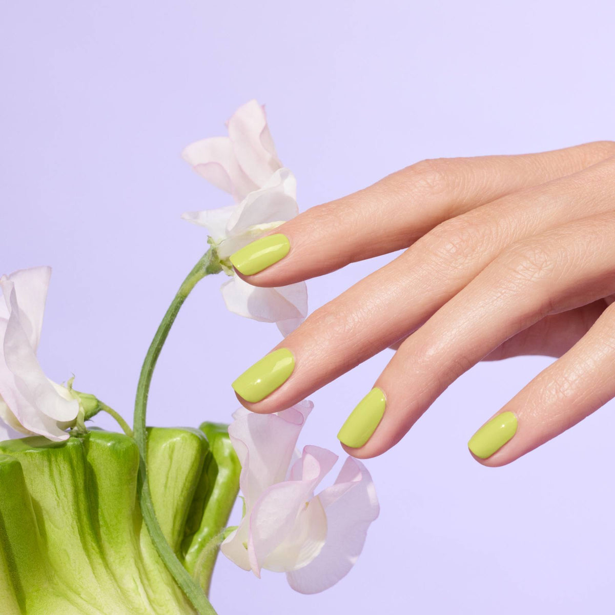 A hand with light skin tone and glossy Lime polish by Manucurist gently touches delicate pale pink flowers, set against a light purple background.