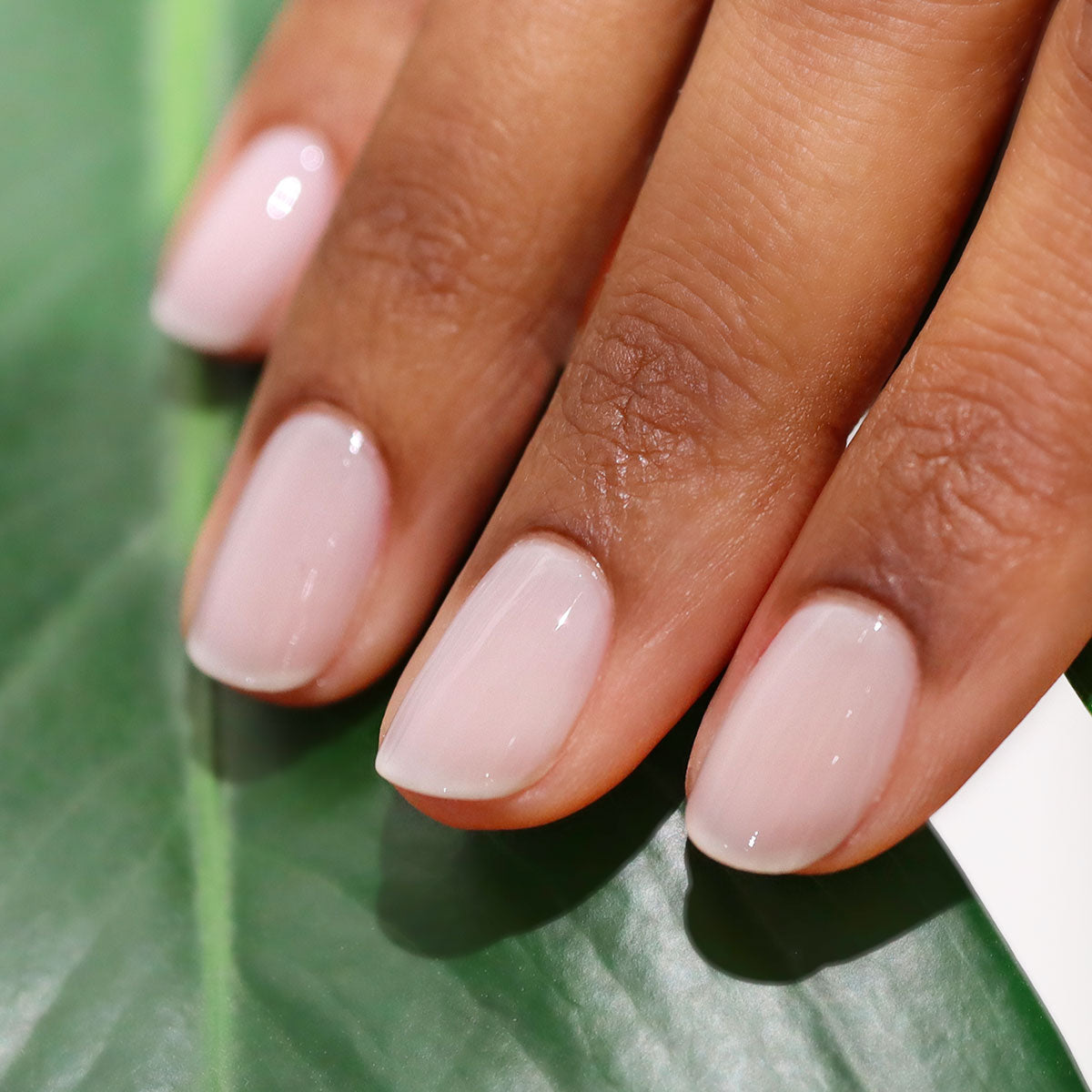 A close-up of a hand with neatly manicured nails painted in Manucurist-test’s Milky White OLD gel nail polish, featuring a glossy finish and easy-to-remove formula for effortless maintenance, rests on a green leaf.