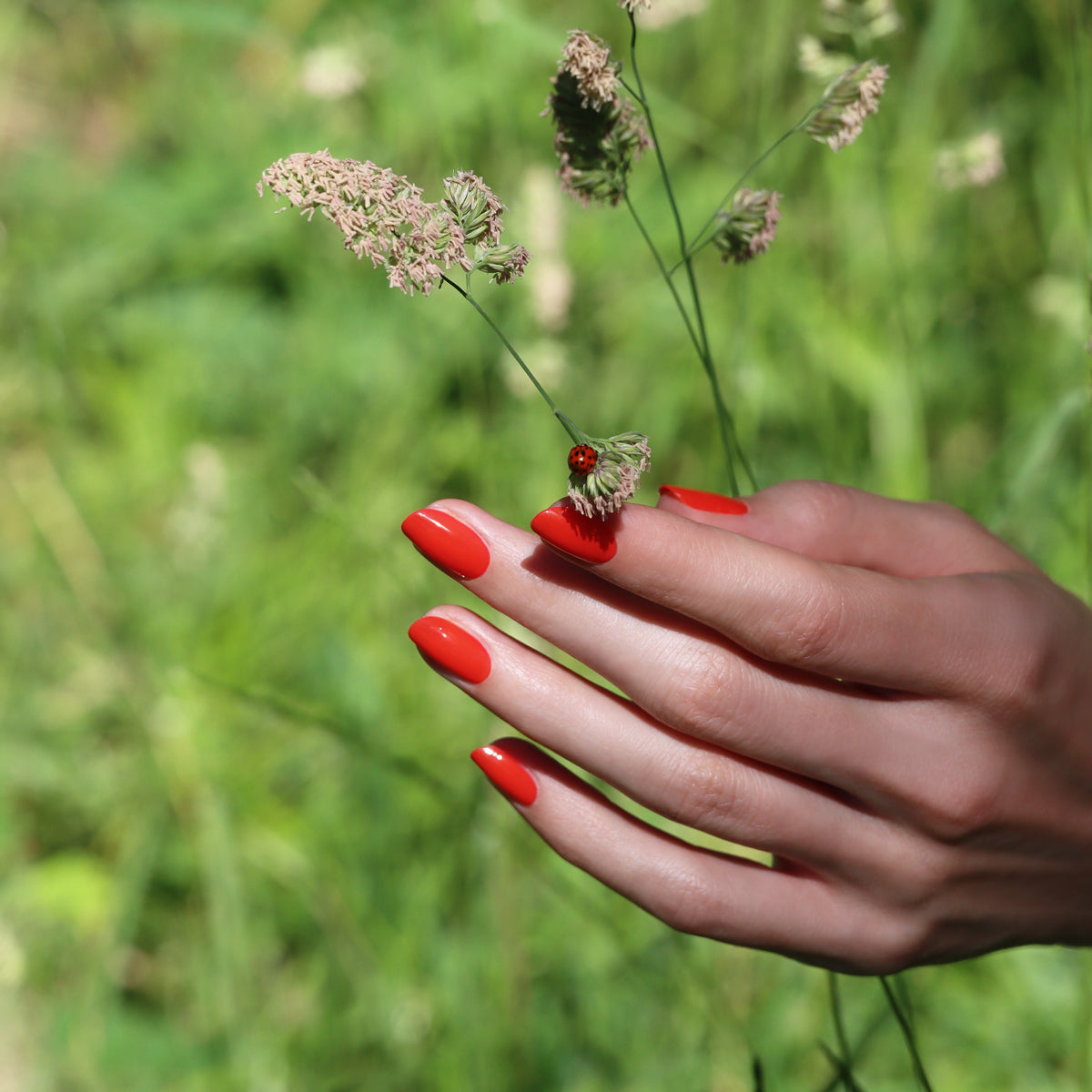 With vibrant Red Coral OLD gel nail polish by Manucurist-test gracing the nails, a hand gently holds a slender grass stem topped with a tiny ladybug, all set against a softly blurred green backdrop.