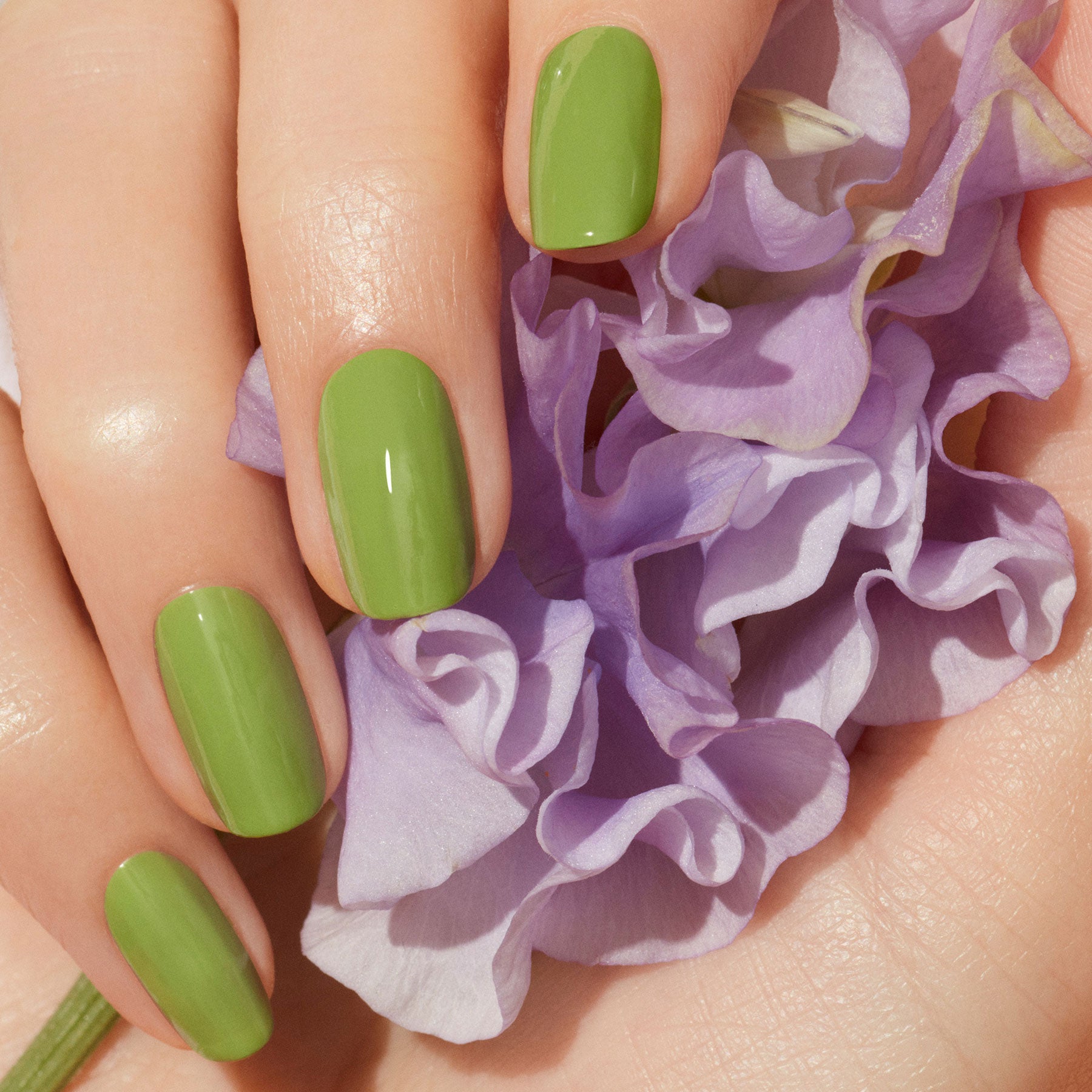 DeBelle Gel Nail Lacquer Fleur Pistachio Mint Green Nail Polish 8 ml Online  in India, Buy at Best Price from Firstcry.com - 12696331